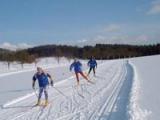 Bild des Produkts 'Wintersport am Roadlberg'