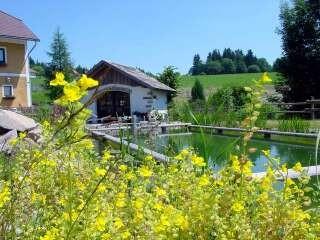 Bild des Produkts 'Ferien am Lamabauernhof'