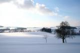Bild des Produkts 'Winterwandern'